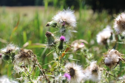 The end of a season...